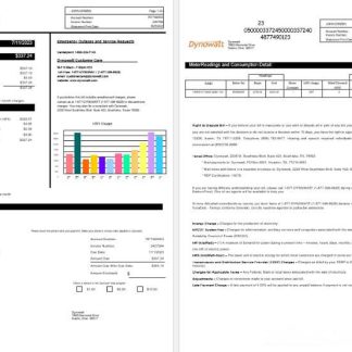 New York Dynowatt electricity utility bill Word and PDF formats download template file