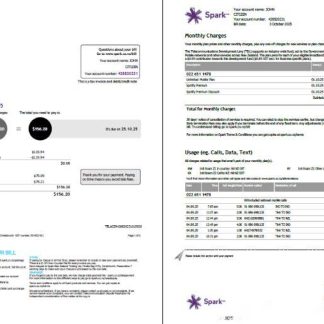 New Zealand Spark utility bill template in Word and PDF formats, 2 pages download template file