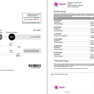 New Zealand Spark utility bill template in Word and PDF formats, 2 pages, version 2 download template file