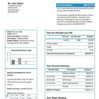 New Zealand Trustpower utility bill template in Word and PDF format download template file