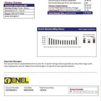 Nicaragua Nicaraguan Electricity Company ENEL electricity bill template in Word format download template file