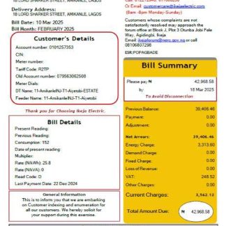 Nigeria IKEJA Electric utility bill template in Word and PDF formats download template file