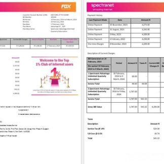 Nigeria Spectranet amazing internet internet utility bill Word and PDF formats, 3 pages download template file