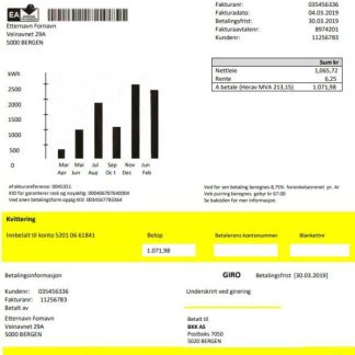 Norway BKK electricity utility bill template in Word and PDF format, good for address prove download template file