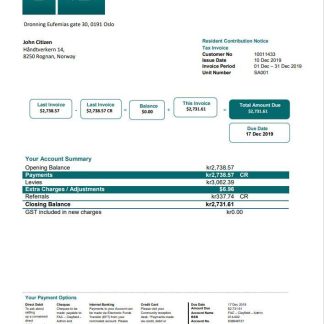 Norway DNB utility bill template in Word and PDF format download template file