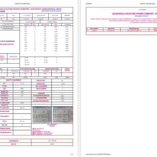 Pakistan Gujanwala electric power company electricity utility bil Word and PDF formats, 2 pages download template file
