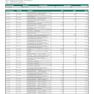 PAKISTAN HBL utility bill Word and PDF template download template file