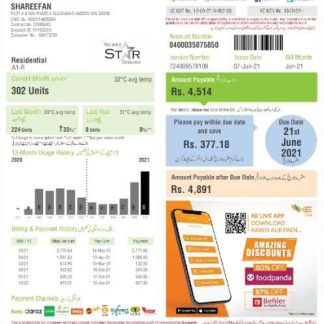 PAKISTAN K ELECTRIC LIMITED utility bill Word and PDF template download template file