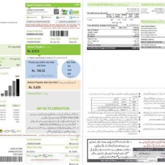 Pakistan KE Electricity bill template in Word and PDF format, 2 pages download template file