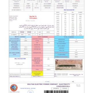 PAKISTAN MULTAN ELECTRIC POWER utility bill Word and PDF template, version 2 download template file