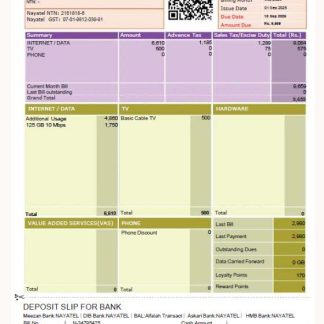 Pakistan NAYAtel utility bill template in Word and PDF formats download template file