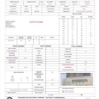 PAKISTAN PESHAWAR ELECTRIC SUPPLY COMPANY utility bill Word and PDF template download template file