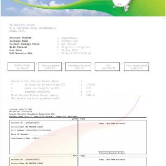 PAKISTAN QUBEE utility bill Word and PDF template download template file
