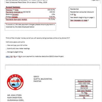 Pakistan Quetta Electric Supply Company electricity bill in Word format download template file