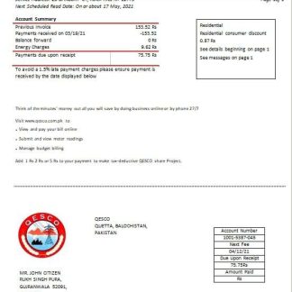 Pakistan Quetta Electric Supply Company electricity utility bill template in Word and PDF format download template file