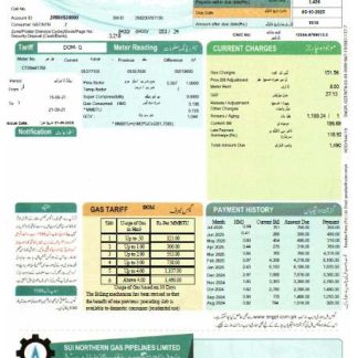 Pakistan Sui Northern Gas Pipelines Limited utility bill template in Word and PDF formats download template file