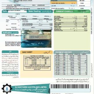 Pakistan Sui Northern Gas Pipelines Limited utility bill template in Word and PDF formats, version 2 download template file