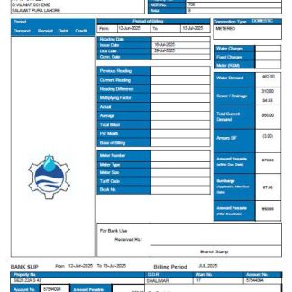 Pakistan Water and Sanitation Agency (LDA) utility bill template in Word and PDF formats download template file