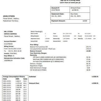Palestine Electric Company (PEC) utility bill template in Word and PDF format download template file