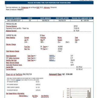 Panama Naturgy electricity company in Word format download template file