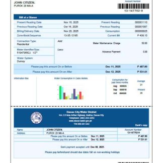 Philippines Davao City Water District utility bill template in Word and PDF formats download template file