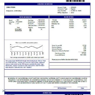 Philippines Metropolitan Cebu Water District utility bill template in Word and PDF formats download template file
