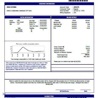 Philippines Metropolitan Cebu Water District utility bill template in Word and PDF formats, version 2 download template file