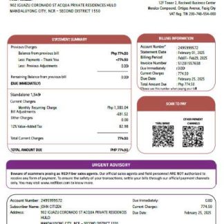 Philippines Red Fiber utility bill template in Word and PDF formats download template file