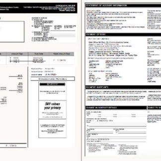 Philippines Sky Cable Corporation utility bill template in Word and PDF formats, 2 pages, version 2 download template file