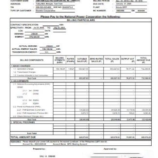 PHILIPPINES TAWELCO utility bill Word and PDF template download template file