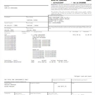 SINGAPORE ASIA SHIPPING utility bill Word and PDF template download template file