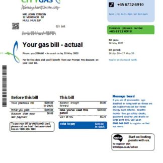 Singapore City Gas utility bill template in Word and PDF format download template file