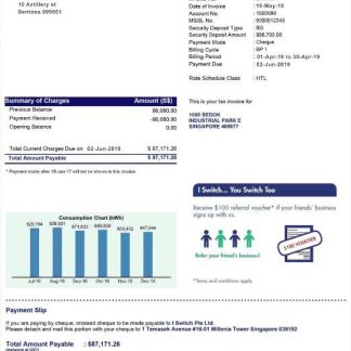 Singapore Iswitch energy utility bill template, fully editable in PSD format download template file