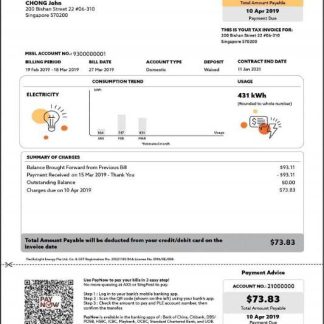 Singapore Pacific Light electricity utility bill template in Word and PDF format download template file