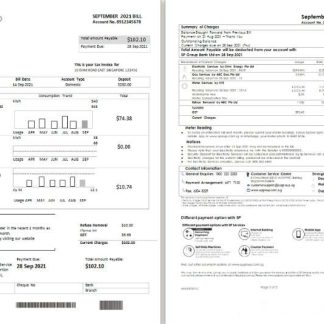 Singapore SP Group utility bill template in Word and PDF format (2 pages) download template file