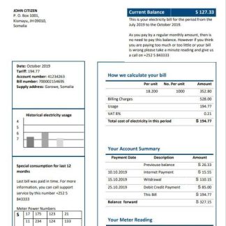 Somalia NESCOM Company electricity utility bill template in Word and PDF format download template file