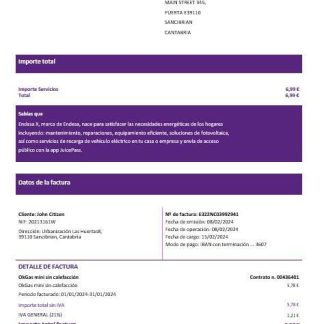 Spain Barcelona endesa X electricity utility bill Word and PDF formats download template file