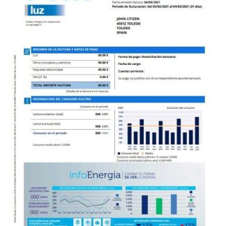 Spain Endesa luz utility bill template in Word and PDF format download template file
