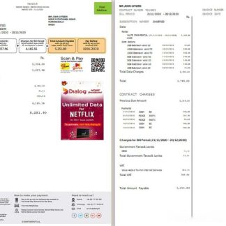 Sri Lanka Dialog utility bill template in Word and PDF format (2 pages) download template file