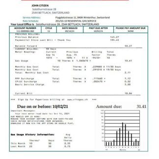 Switzerland Vitogaz Switzerland AG utility bill template, fully editable in Word and PDF format download template file