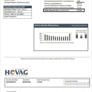 Syria HOVAG Company electricity utility bill template in Word and PDF format download template file