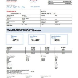 Turkey Gediz Elektrik utility bill template in Word and PDF format, fully editable download template file
