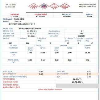 Turkey water utility bill template in Word and PDF format download template file