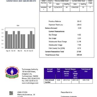 Turkmenistan Turkmengaz utility bill template in Word and PDF format download template file