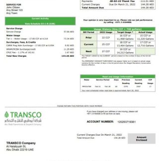 UAE Abu Dhabi Transmission & Despatch Company (TRANSCO) utility bill template in Word and PDF format download template file
