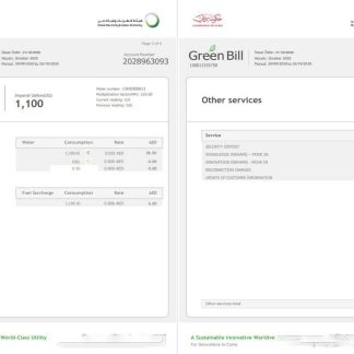 UAE Dubai Electricity & Water Authority utility bill template in Word and PDF format (4 pages) 3 4 download template file