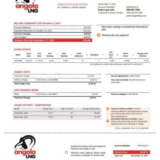 Angola LNG proof of address utility bill template in Word and PDF format download template file