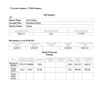 UAE Dubai Federal Electricity & Water Authority electricity, water utility bill Word and PDF formats download template file