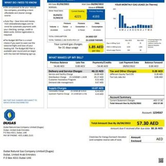 UAE Dubai Natural Gas Company Limited (Dugas) utility bill template in Word and PDF format download template file