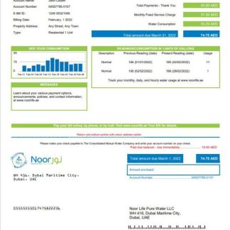 UAE Noor Life Pure Water LLC utility bill template in Word and PDF format download template file